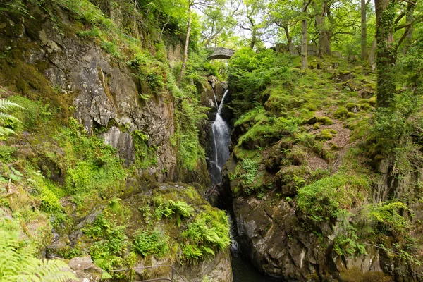 Aira force wasserfall ullswater tal seegebiet cumbria england uk in wunderschönem wald mit brücke — Stockfoto