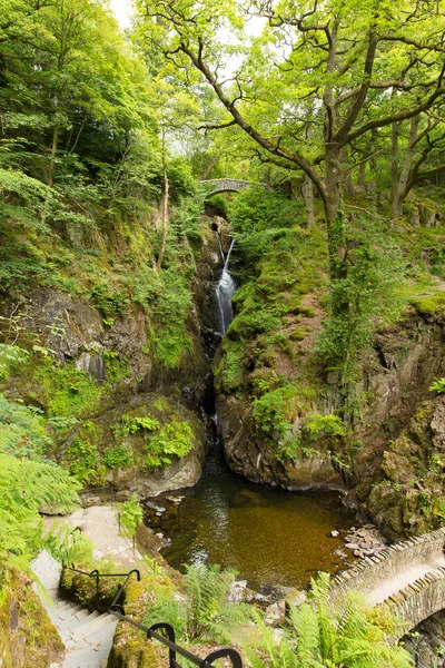 Водопад Aira Force Ullswater Valley Lake District Cumbria England UK в красивом лесу с мостом — стоковое фото