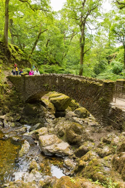 Turistas y turistas Aira Force cascada Ullswater Valley Lake District Cumbria Inglaterra Reino Unido en un hermoso bosque con puente — Foto de Stock