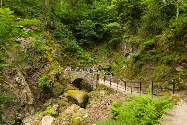 Turisták és a nyaralók aira erő vízesés ullswater völgy tóvidék cumbria Anglia Egyesült Királyság gyönyörű erdős-híd — Stock Fotó