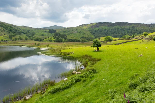 Watendlath tarn lake district cumbria İngiltere derwent suya yakın borrowdale ve thirlmere vadiler arasındaki — Stok fotoğraf