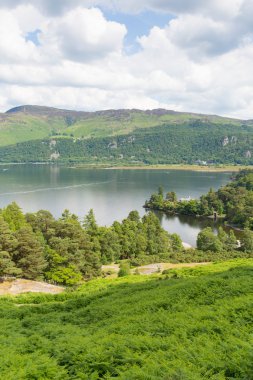 brandelhow defne derwent su lake district cumbria İngiltere İngiltere
