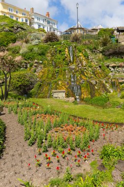 Ventnor Botanic Garden Isle of Wight clipart