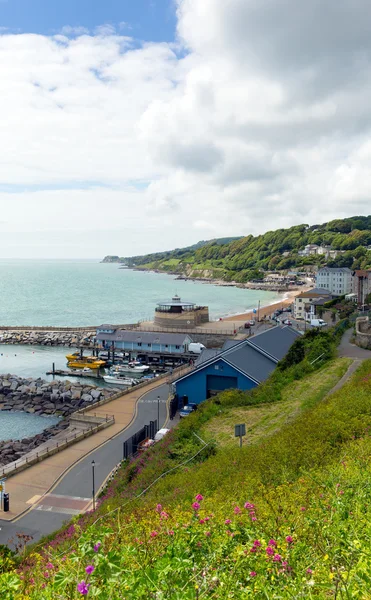 Ventnor isle of wight Anglia déli partján, a sziget turisztikai város — Stock Fotó