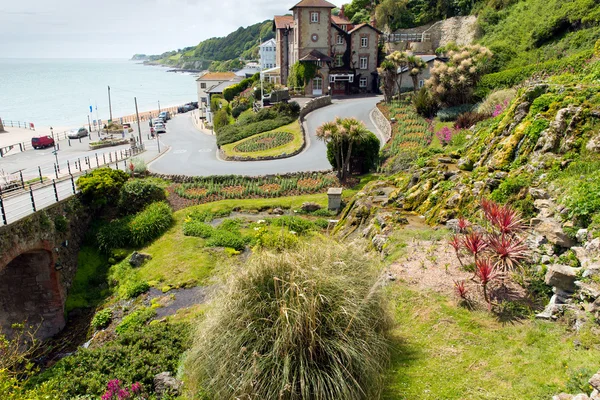 Ventnor botanická zahrada isle of wight — Stock fotografie