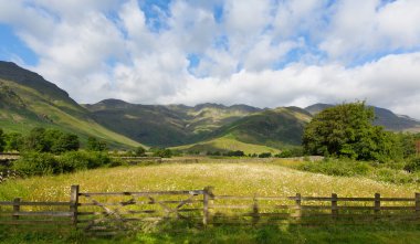 dağlar ve papatyalar mavi gökyüzü ve bulutlar doğa manzaralı langdale valley lake district cumbria yakınındaki eski dungeon ghyll İngiltere İngiltere'de yaz