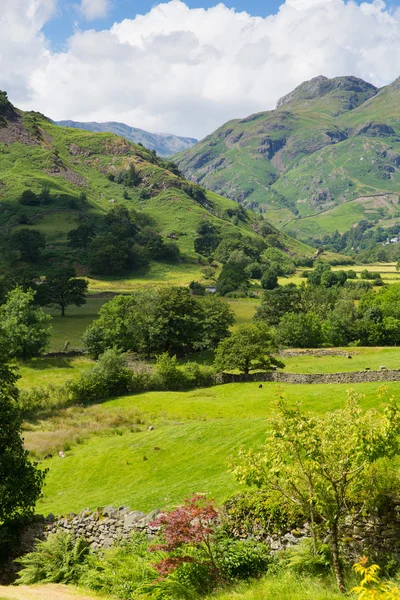 Langdale Valley Lake District Cumbria Inglaterra Reino Unido com céu azul no belo dia de verão — Fotografia de Stock