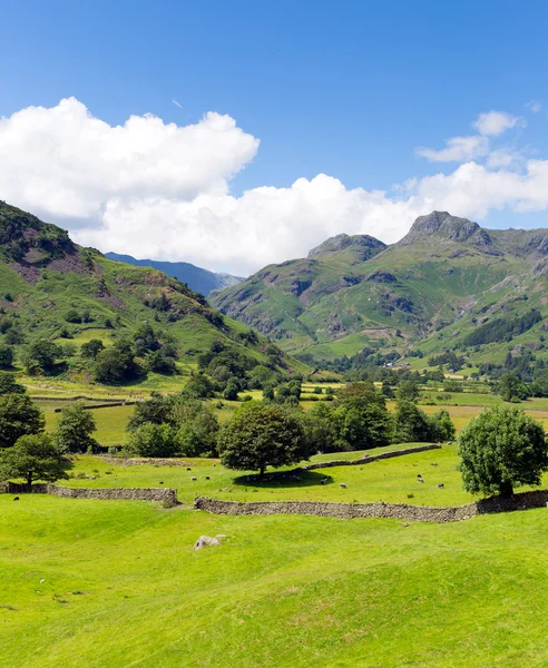 Langdale Valley Lake District cumbria england uk mit blauem Himmel an einem schönen Sommertag — Stockfoto