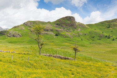 blea tarn lake district cumbria İngiltere İngiltere arasında büyük langdale ve küçük langdale üzerinden görüntülemek