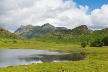 blea tarn lake district cumbria İngiltere İngiltere büyük langdale ve küçük langdale arasında
