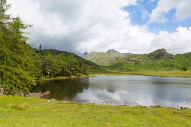 blea tarn lake district cumbria İngiltere İngiltere büyük langdale ve küçük langdale arasında