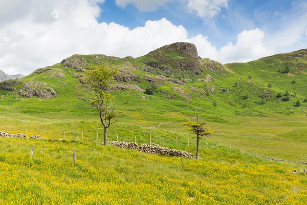 Vedere din Blea Tarn Lake District Cumbria Anglia Marea Britanie între Great Langdale și Little Langdale — Fotografie, imagine de stoc