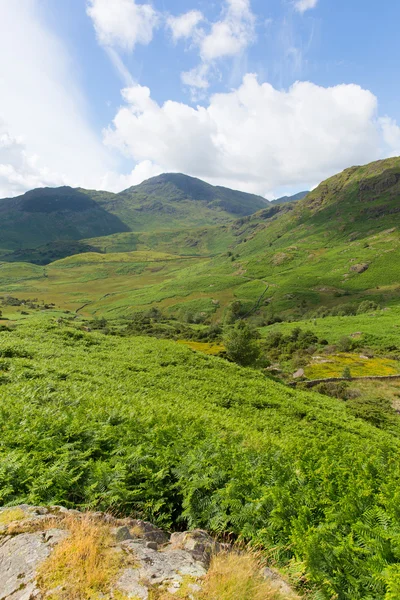 Küçük langdale lake district cumbria İngiltere İngiltere arasındaki büyük langdale blea tarn güneyinde göster — Stok fotoğraf