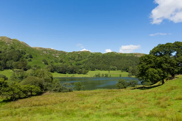 Loughrigg Tarn Lake District Cumbria Inglaterra situado al norte de Windermere y pueblo de Skelwith Bridge en un hermoso día de verano con cielo azul — Foto de Stock