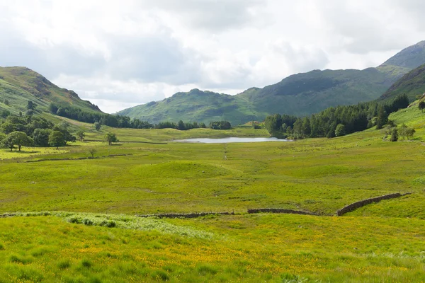 Blea Tarn Lake District Cumbria Inglaterra Reino Unido entre Great Langdale e Little Langdale — Fotografia de Stock