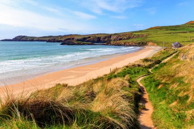 Whitesands Körfezi plajı Batı Galler UK Pembrokeshire Coast Ulusal Parkı