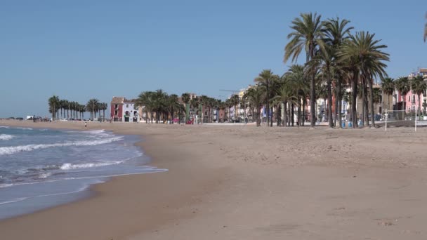 Villajoyosa Spagna Spiaggia Con Palme Onde Che Rompono — Video Stock