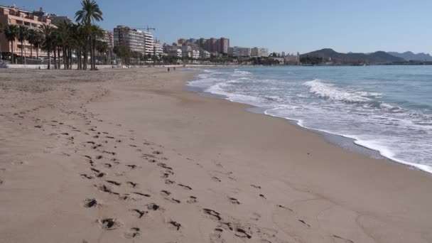 Spanish Sandy Beach Villajoyosa Spain Footprints Palm Trees Waves Costa — ストック動画