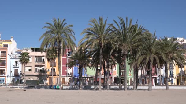 Villajoyosa Spanje Mooie Stad Met Kleurrijke Huizen Palmbomen Costa Blanca — Stockvideo