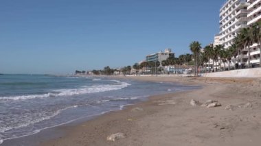İspanya 'nın Benidorm yakınlarındaki Villajoyosa sahilinde palmiye ağaçları kumları ve dalgaları ile Costa Blanca Alicante