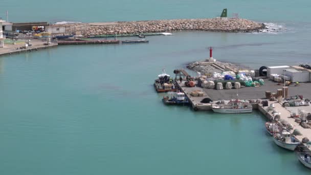 西班牙El Campello渔业市场在西班牙港口的前景看好 — 图库视频影像