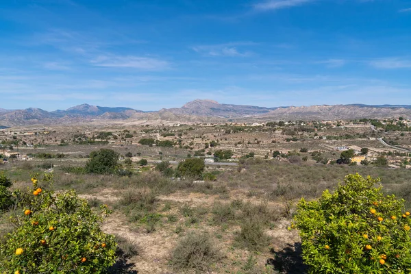 İspanya 'nın Busot köyünden ön planda portakal ağaçları olan dağlar El Campello ve Alicante yakınlarındaki tarihi pueblo.