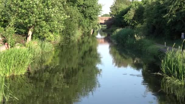 Bridgwater Taunton Canal Somerset Αγγλία Ηνωμένο Βασίλειο Ειρηνική Αγγλική Πλωτή — Αρχείο Βίντεο