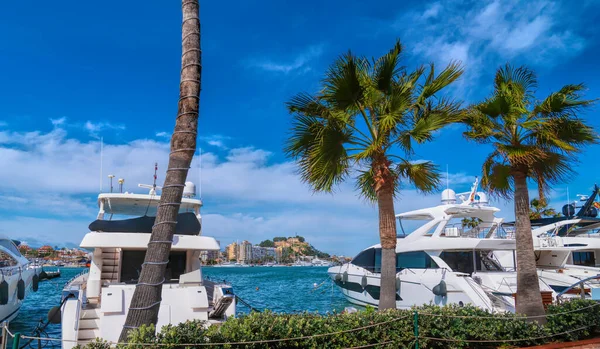 Denia marina Spain with boats yachts and mountain view with palm trees