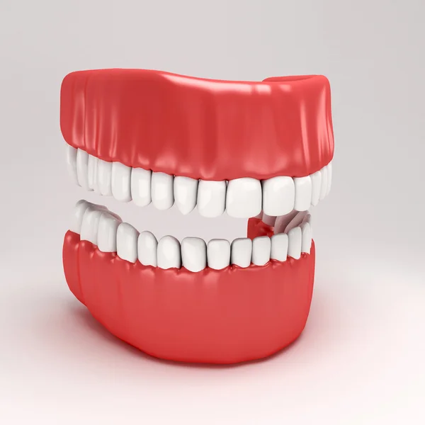 Dentystycznych modelu — Zdjęcie stockowe