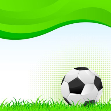 Futbol topu