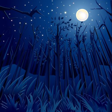 gece orman