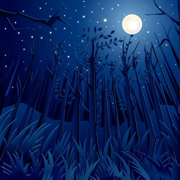 Night Jungle — Stock Vector