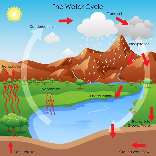 Ciclo del agua — Vector de stock