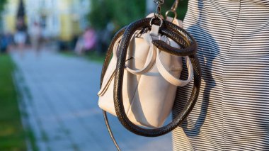 Vahşi, zehirli bir yılan fark edilmeden bir kadının çantasına girdi..