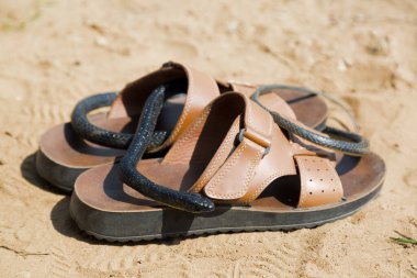 Sahilde siyah zehirli bir yılan erkek ayakkabısının içine girdi. Bir insanı ısırma ve saldırma kavramı..