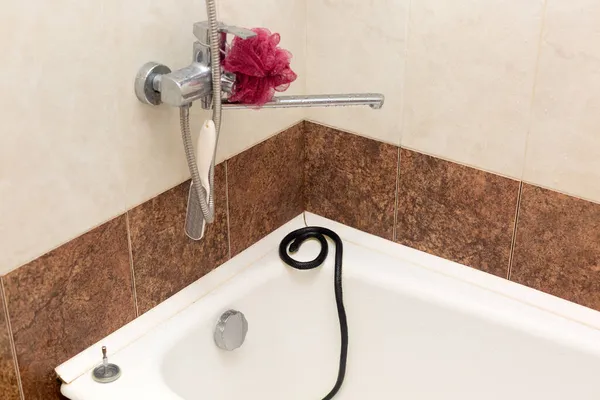 Una Serpiente Venenosa Negra Borde Una Bañera Blanca Apartamento —  Fotos de Stock
