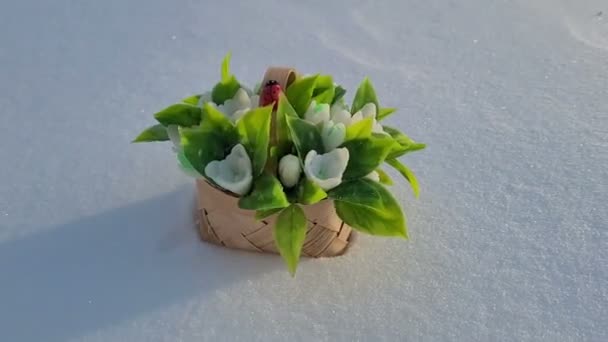 Sebuah Karangan Bunga Sabun Lembut Snowdrops Dalam Keranjang Atas Salju — Stok Video