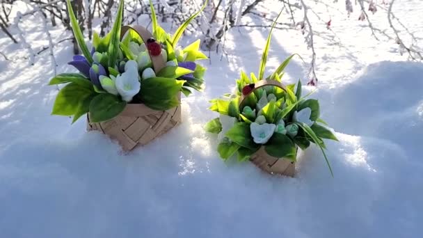 First Spring Flowers Snowdrops Form Handmade Soap Mini Baskets Snow — Stock Video