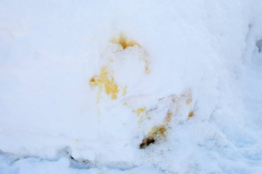 Sarı bir sidik lekesi. Şehrin sokaklarında beyaz kar..