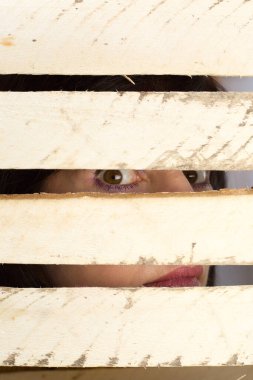 Boşluk çitinden yakından bakan bir adamın dişi gözü..