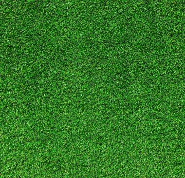 yeşil çim dokusu