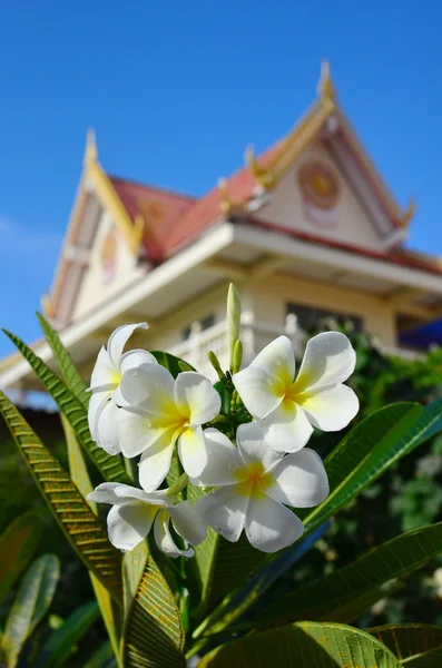 タイの建築 — ストック写真