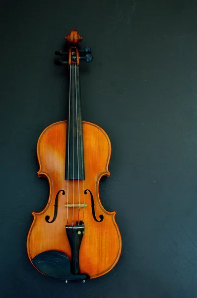 Violino — Fotografia de Stock