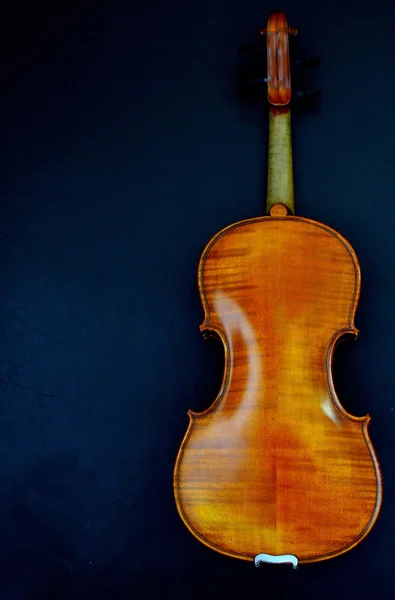 Violino — Fotografia de Stock