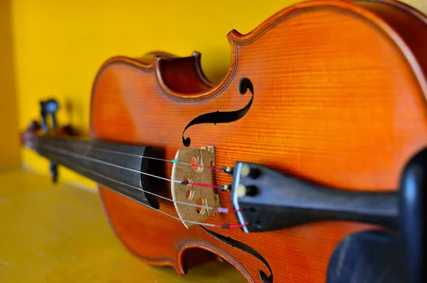 Violino — Fotografia de Stock