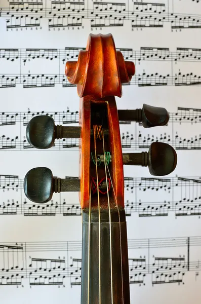 Violin — Stock Photo, Image