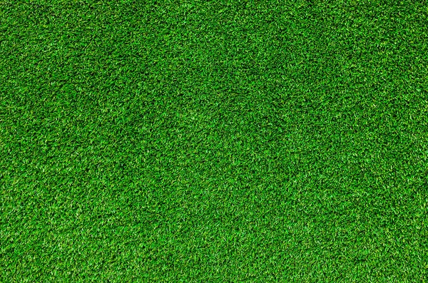 Green Grass texture — Stock Photo, Image