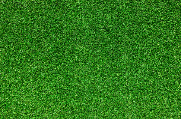 Texture erba verde — Foto Stock