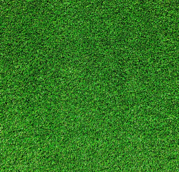 Zöld fű textúra — Stock Fotó