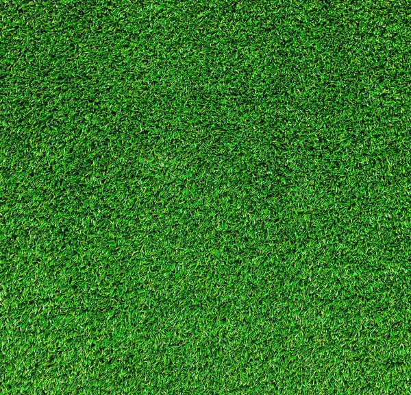 Texture erba verde — Foto Stock